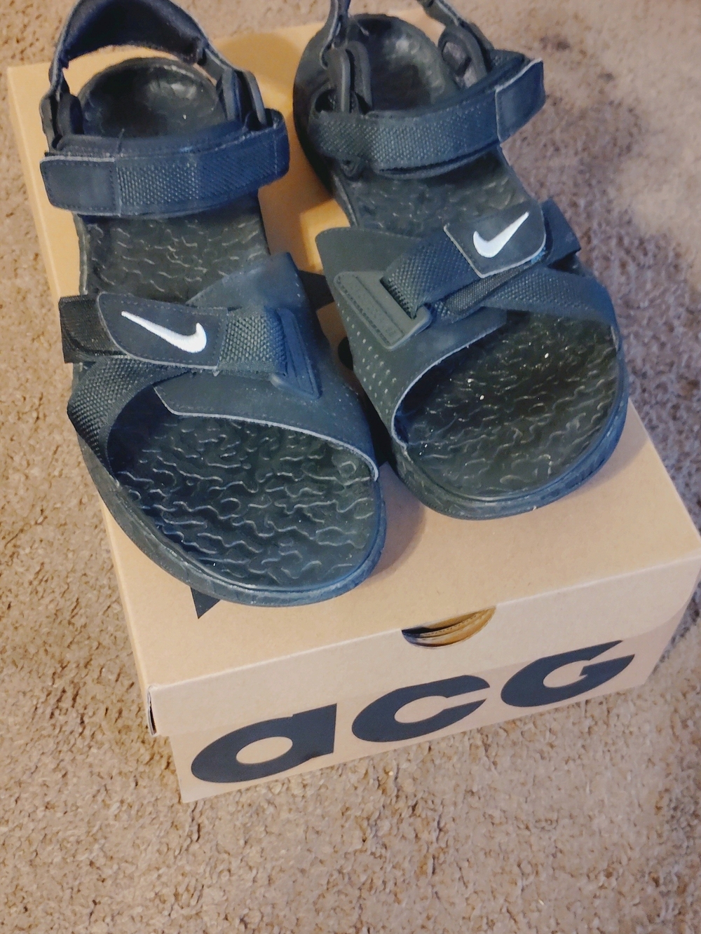Nike Mens ACG Air Deschutz+
